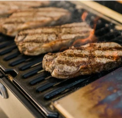 Masterbuilt Portable Charcoal Grill 15 Masterbuilt Portable Charcoal Grill -Kama Joe BBQ Winkel image 548